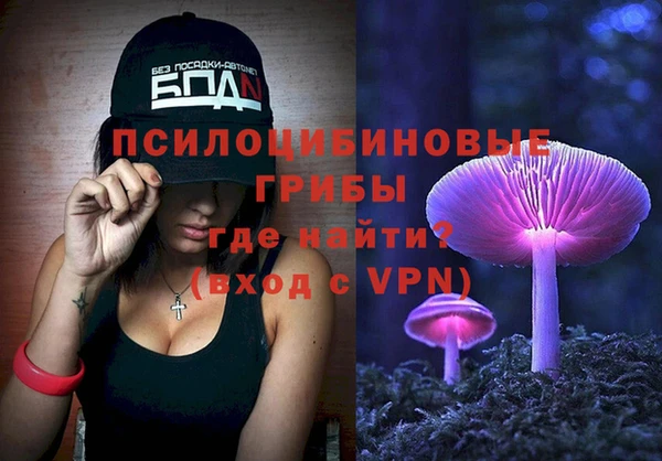 PSILOCYBIN Алзамай